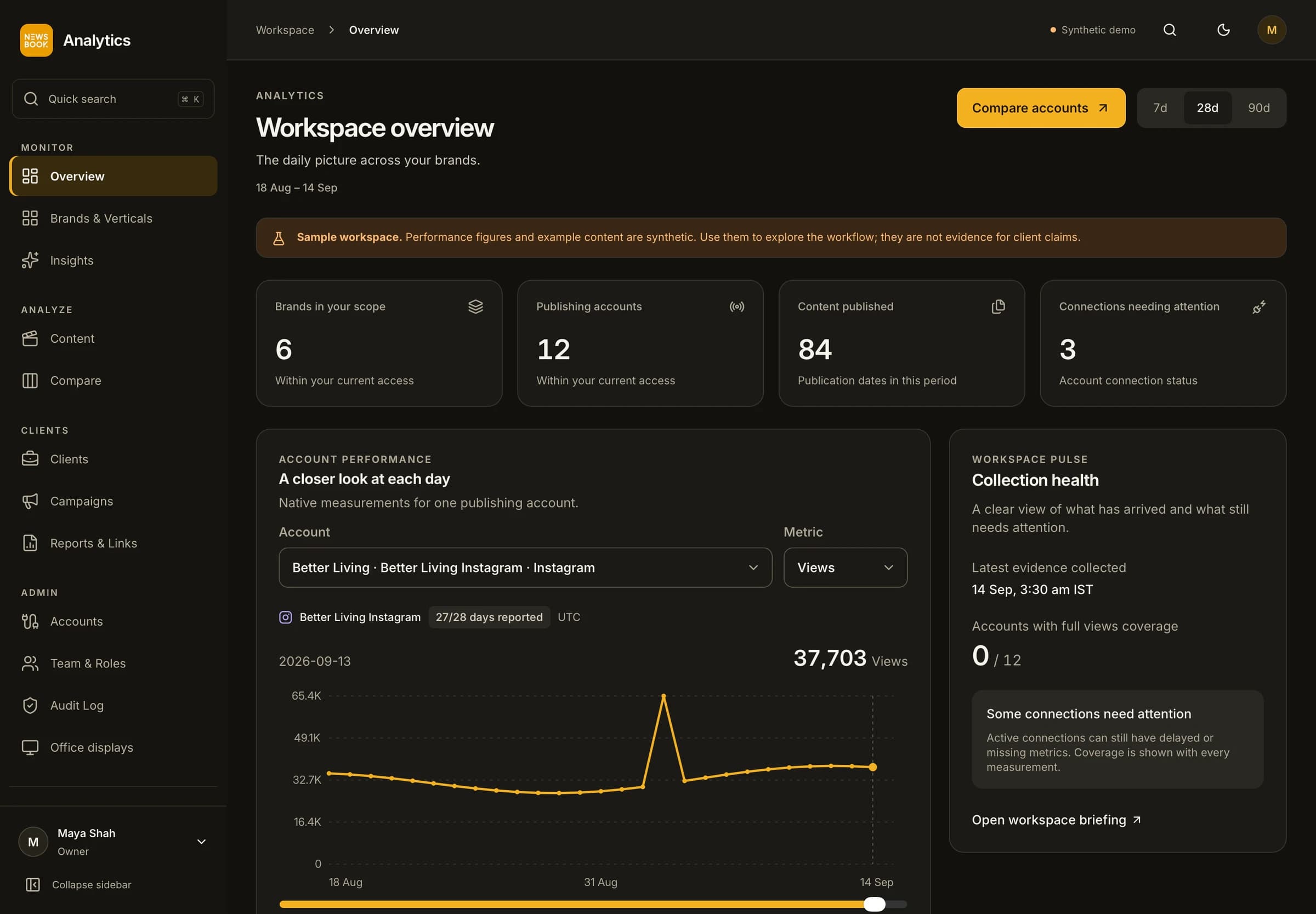 Dark mode sample workspace with account overview, performance chart and collection health.